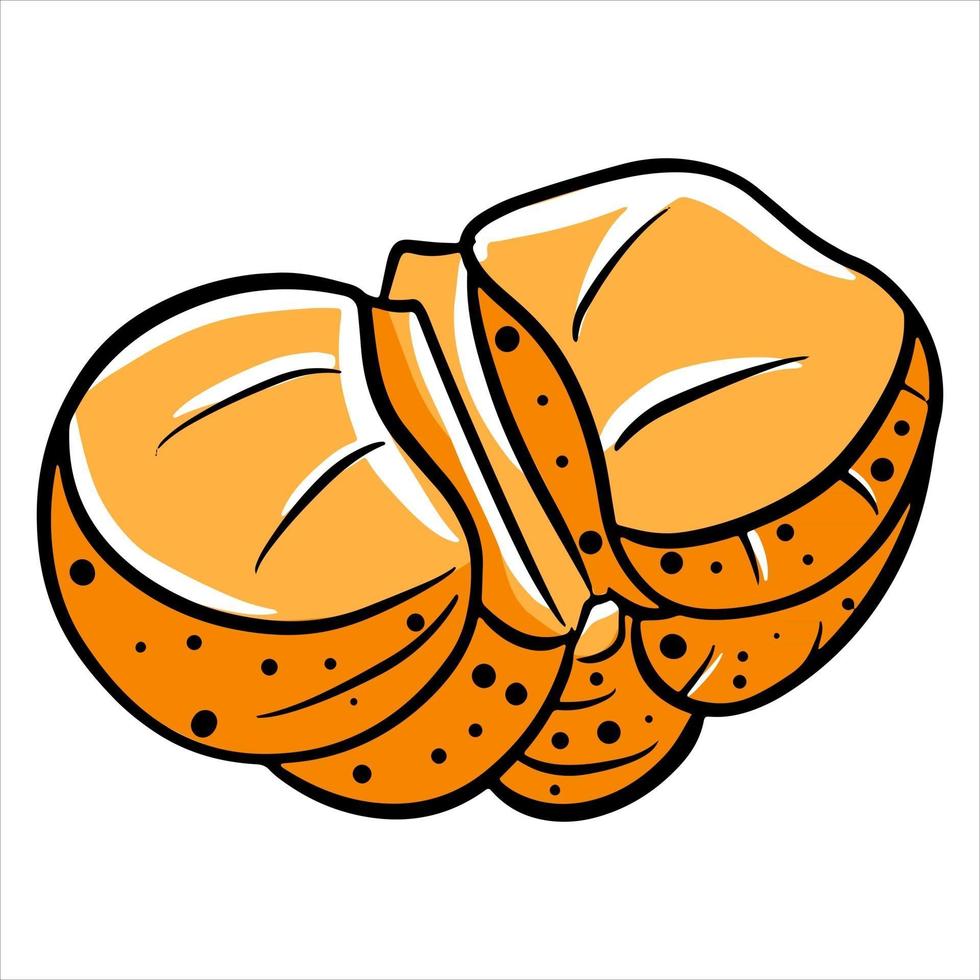 mandarina mandarina pelada vector