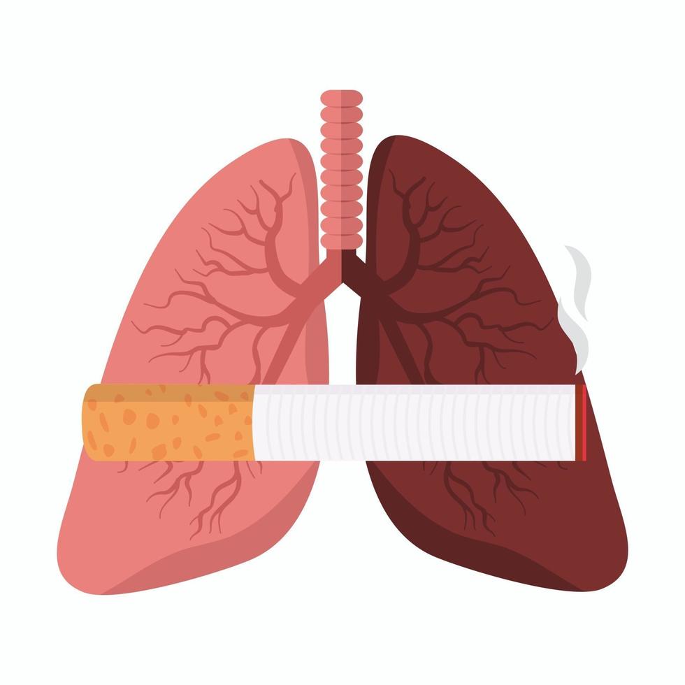 comparando pulmones con colilla de cigarrillo vector