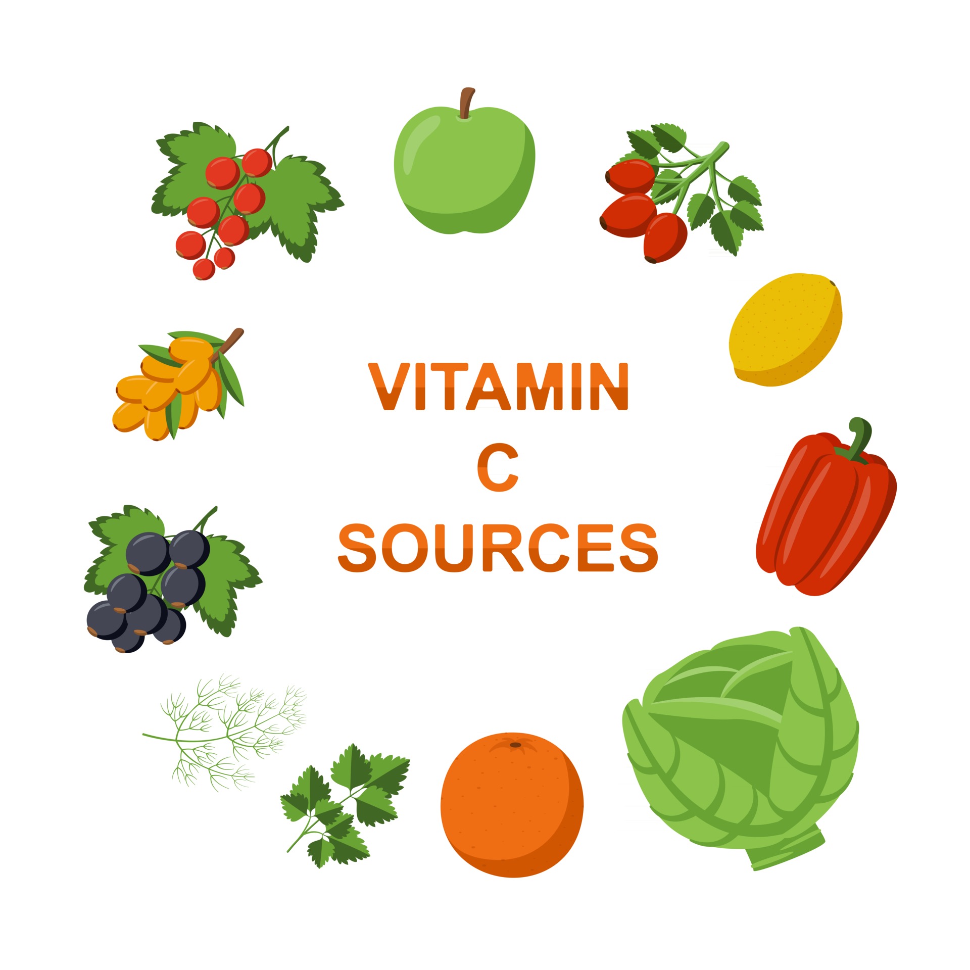 Collection Fruits and vegetables vitamin C sources 2404062 Vector Art at Vecteezy