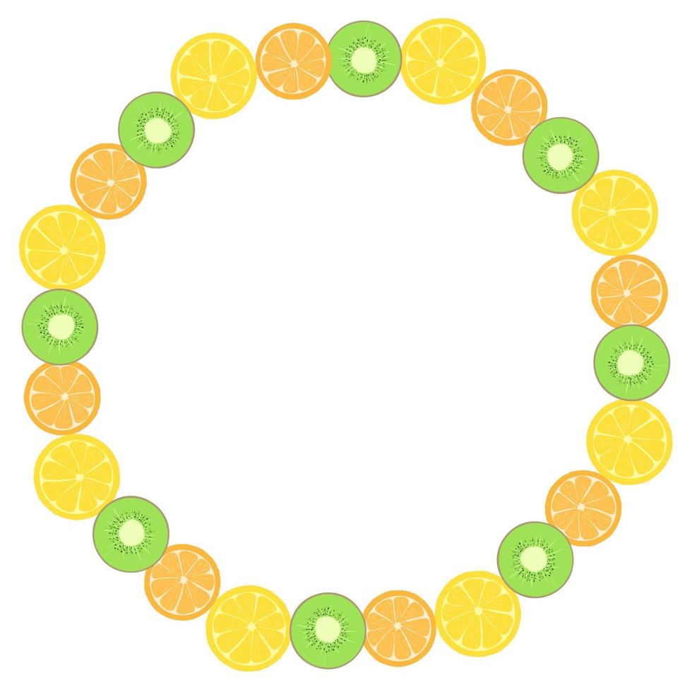 Simple round frame with fruits vector