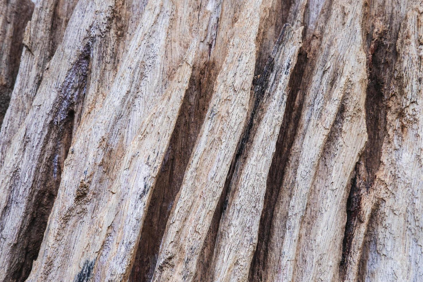Faded old wooden background. photo