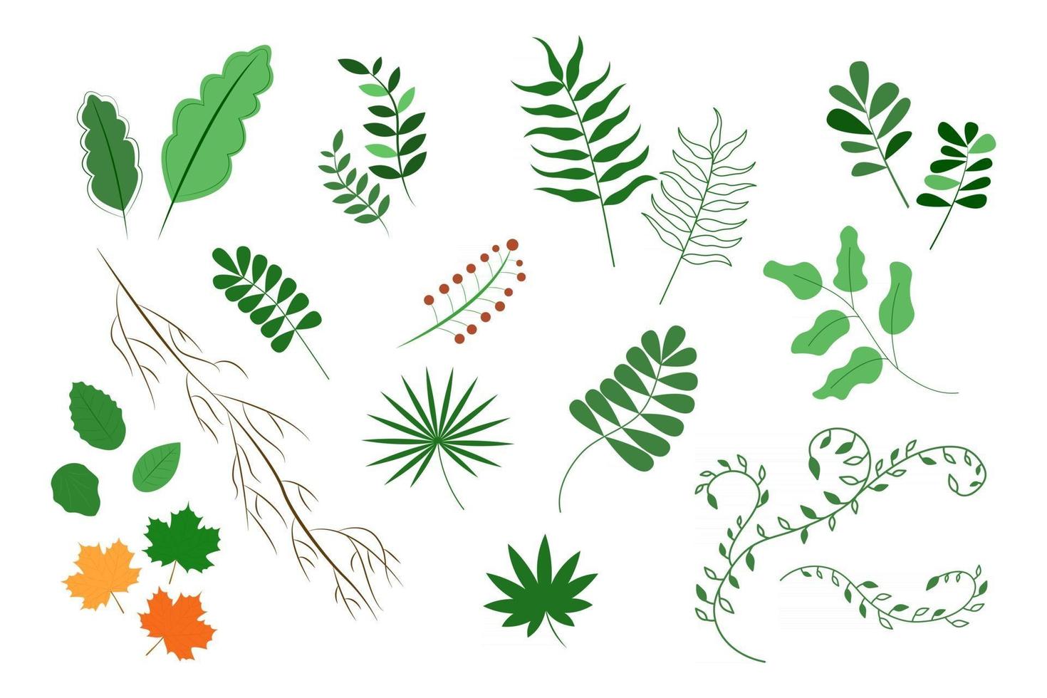 Leaves set isolated Collection of plants on white background Vector illustration