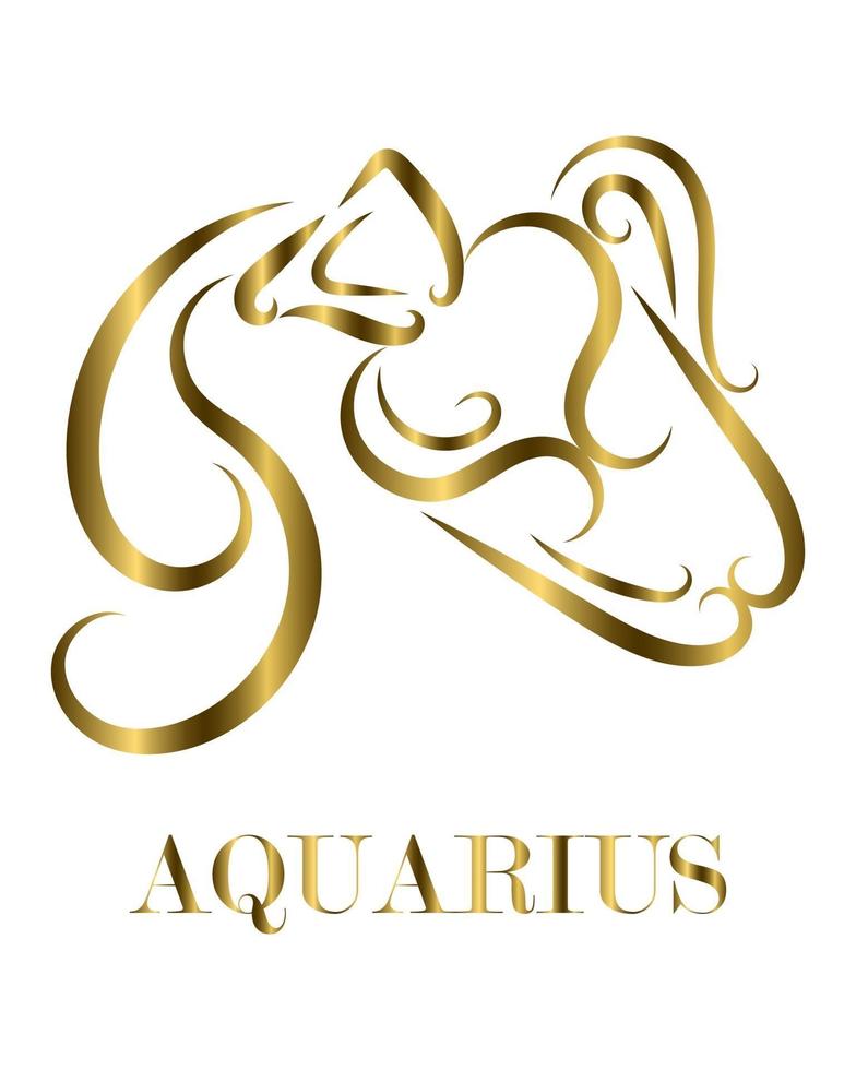 Aquarius zodiac line art vector