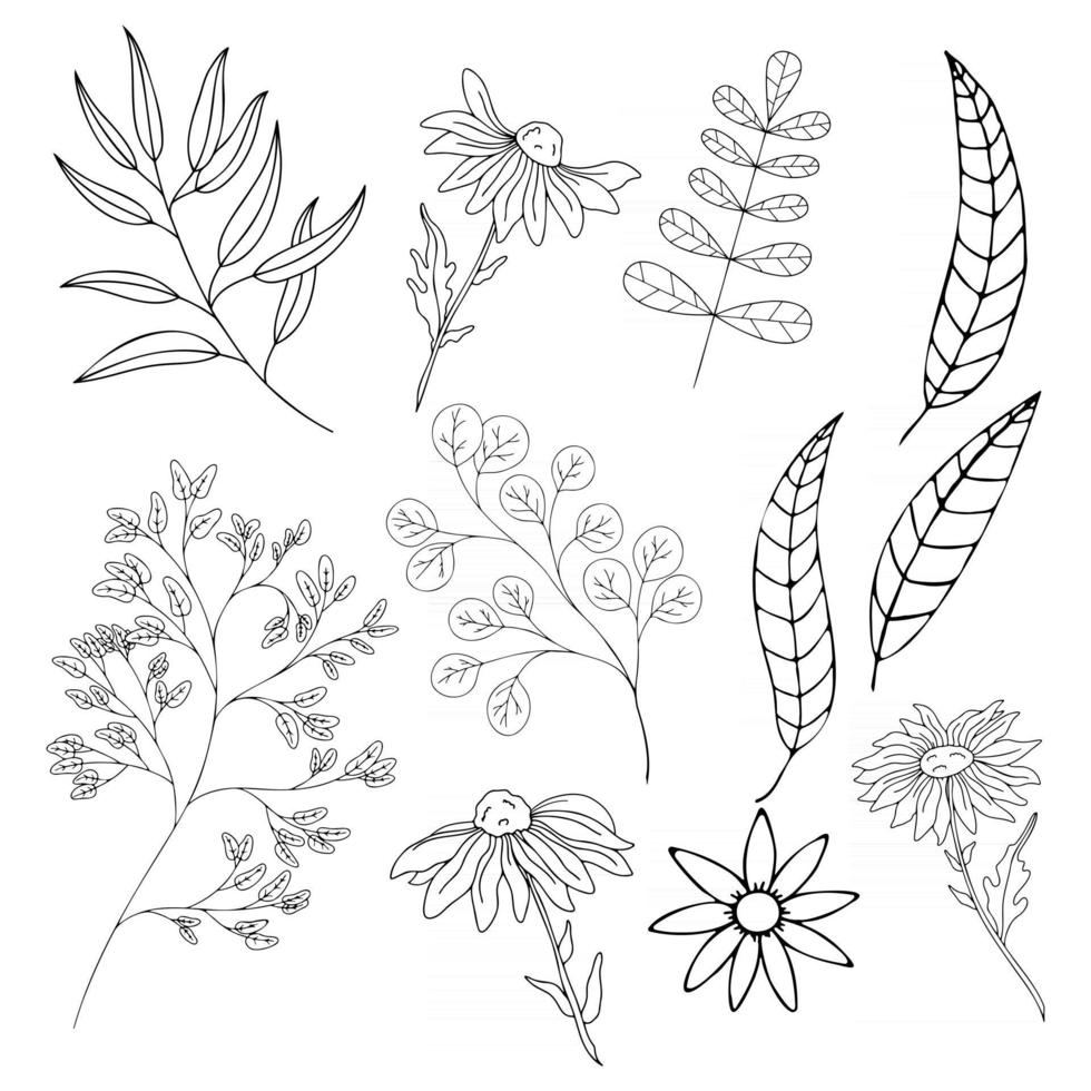 Set of plants and flowers of various types in the doodling technique vector