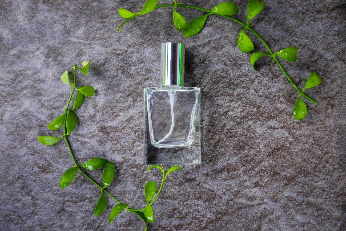 Top view of a bottle of perfume surrounded with green leaves photo