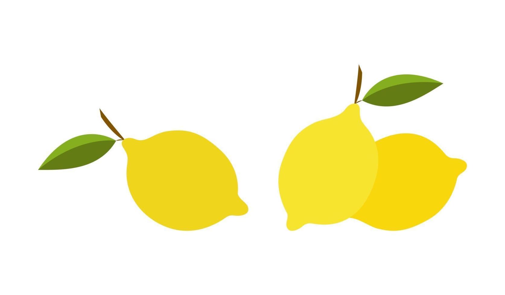 Vector illustration of lemons in abstract style
