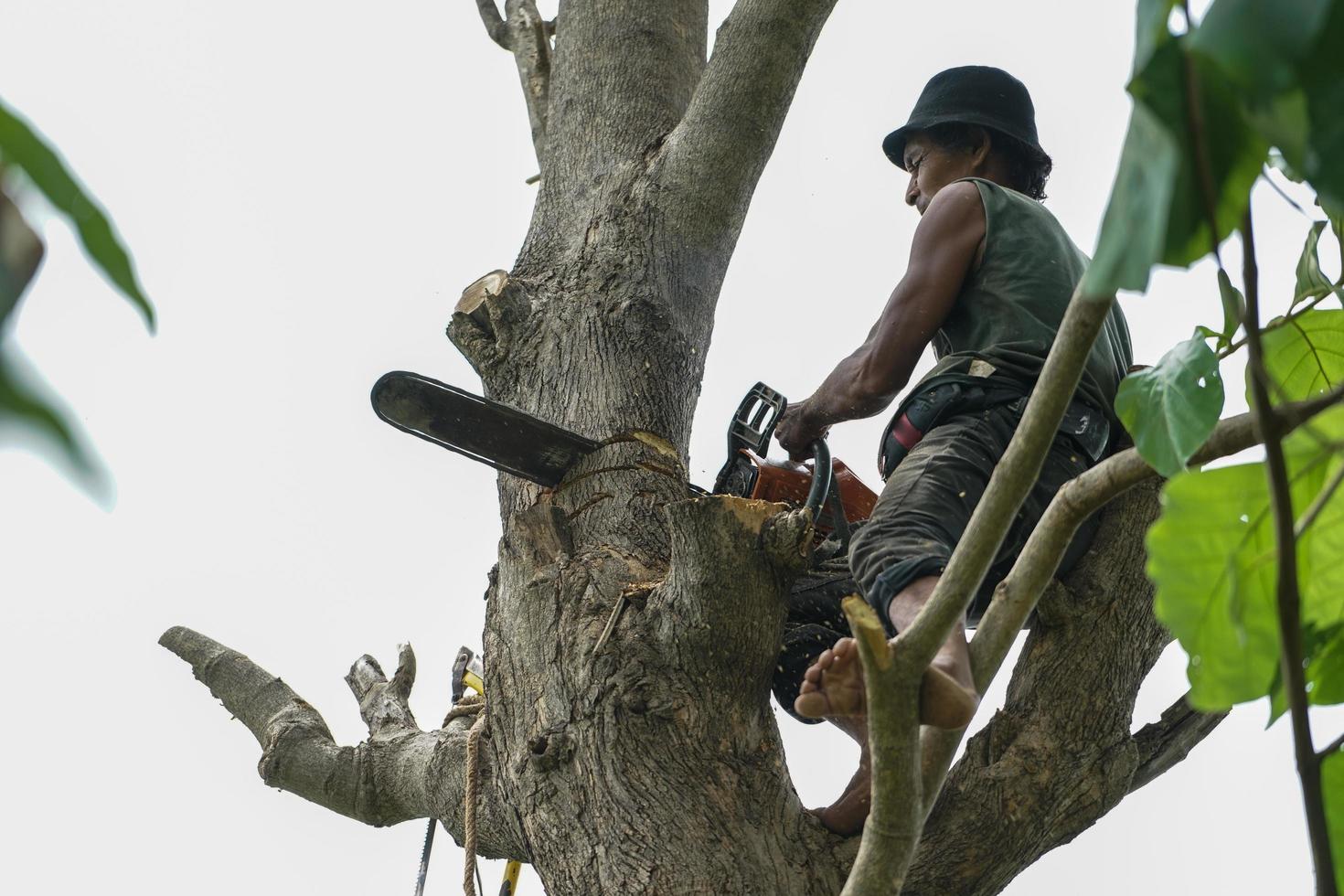 Retrato de arbolista sosteniendo en el árbol con una motosierra con un fondo de cielo despejado. foto