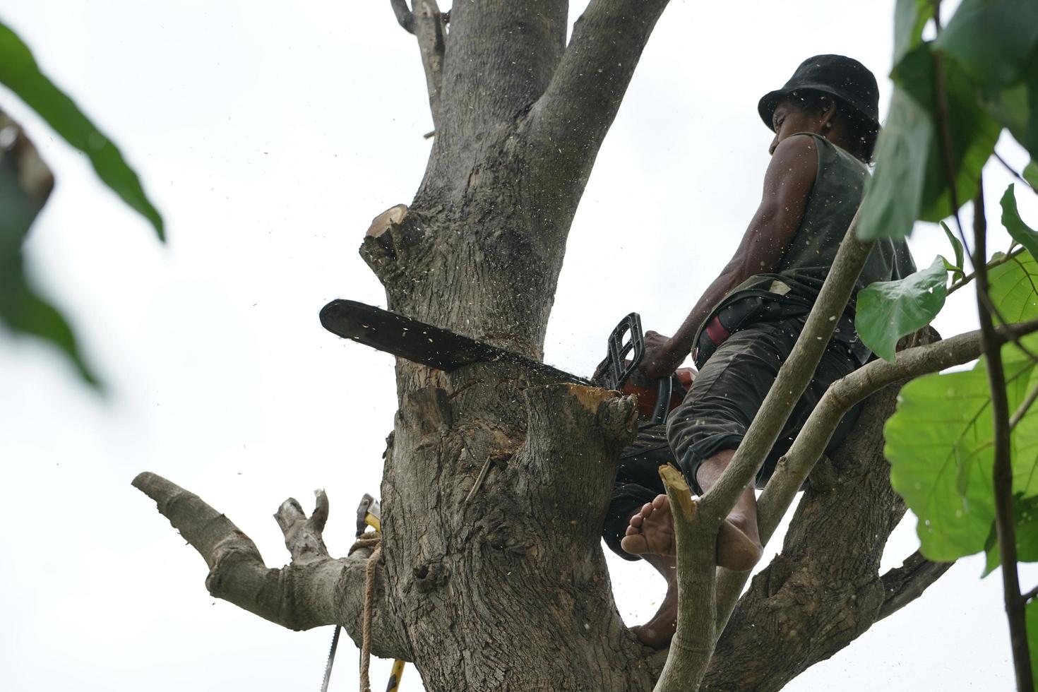 Retrato de arbolista sosteniendo en el árbol con una motosierra con un fondo de cielo despejado. foto