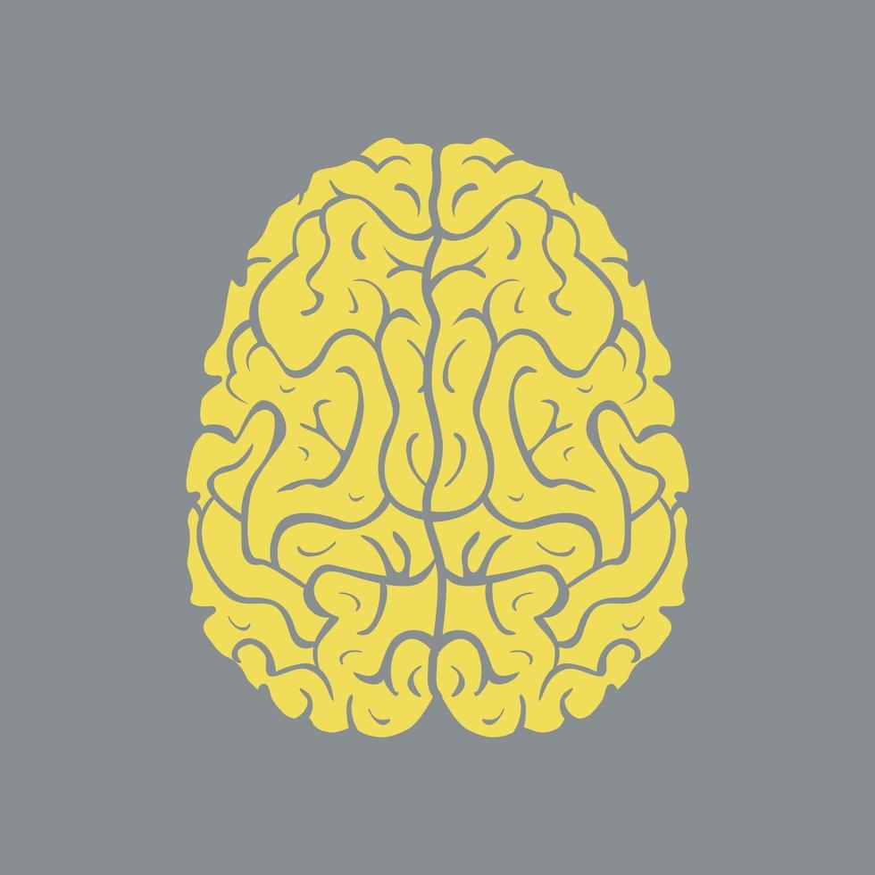 Icon left and right hemisphere of human brain vector