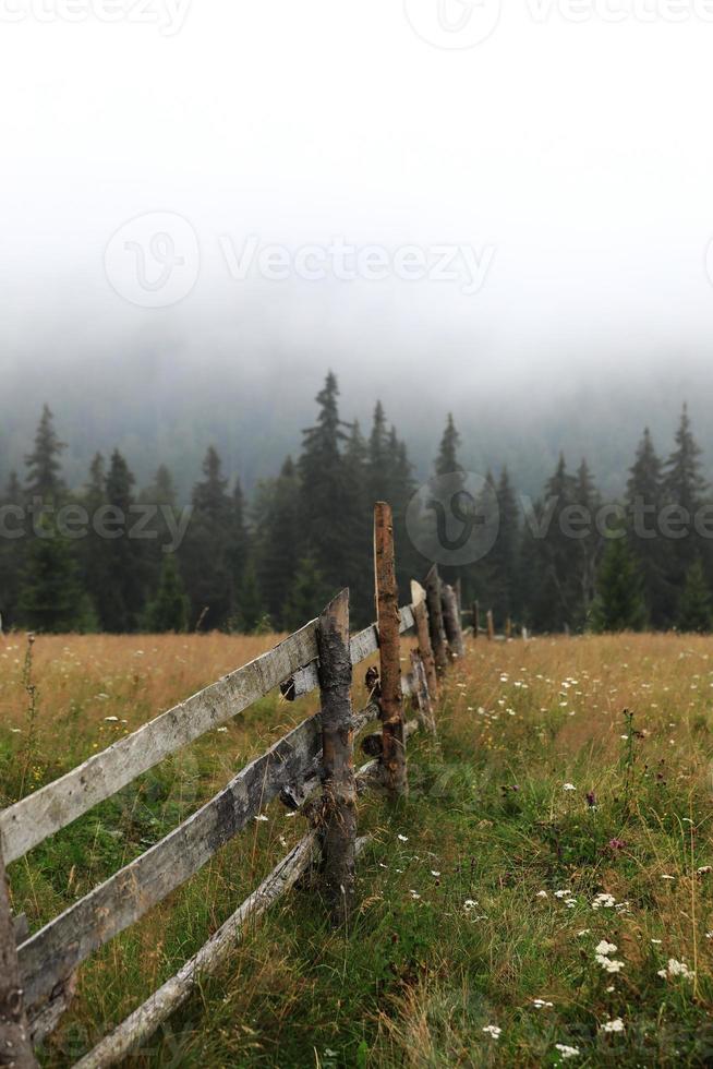 Autumn meadow with a old wooden fence on a farm close-up in the Smoky Mountains photo