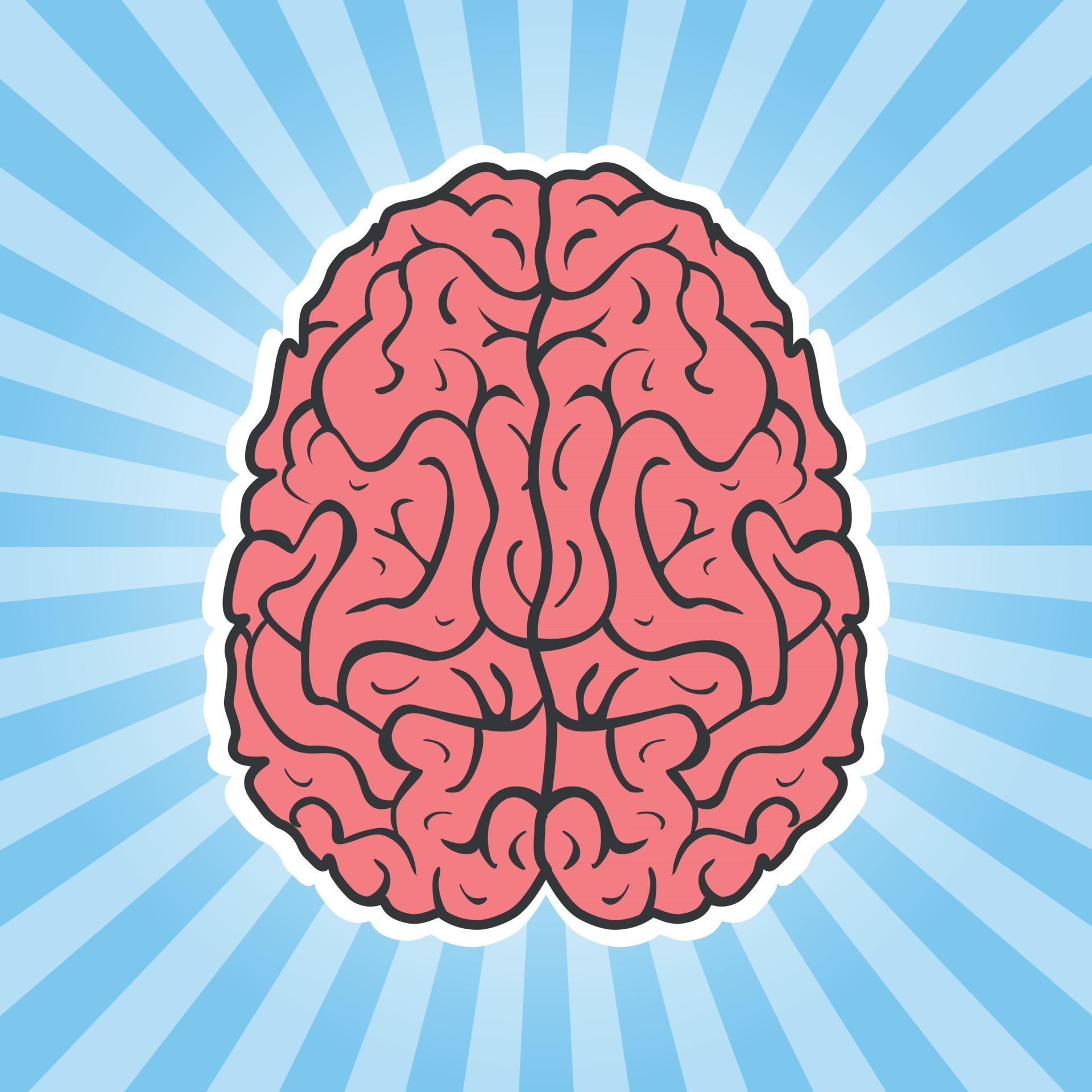 Sticker Left and right hemisphere of human brain 2406374 Vector Art at