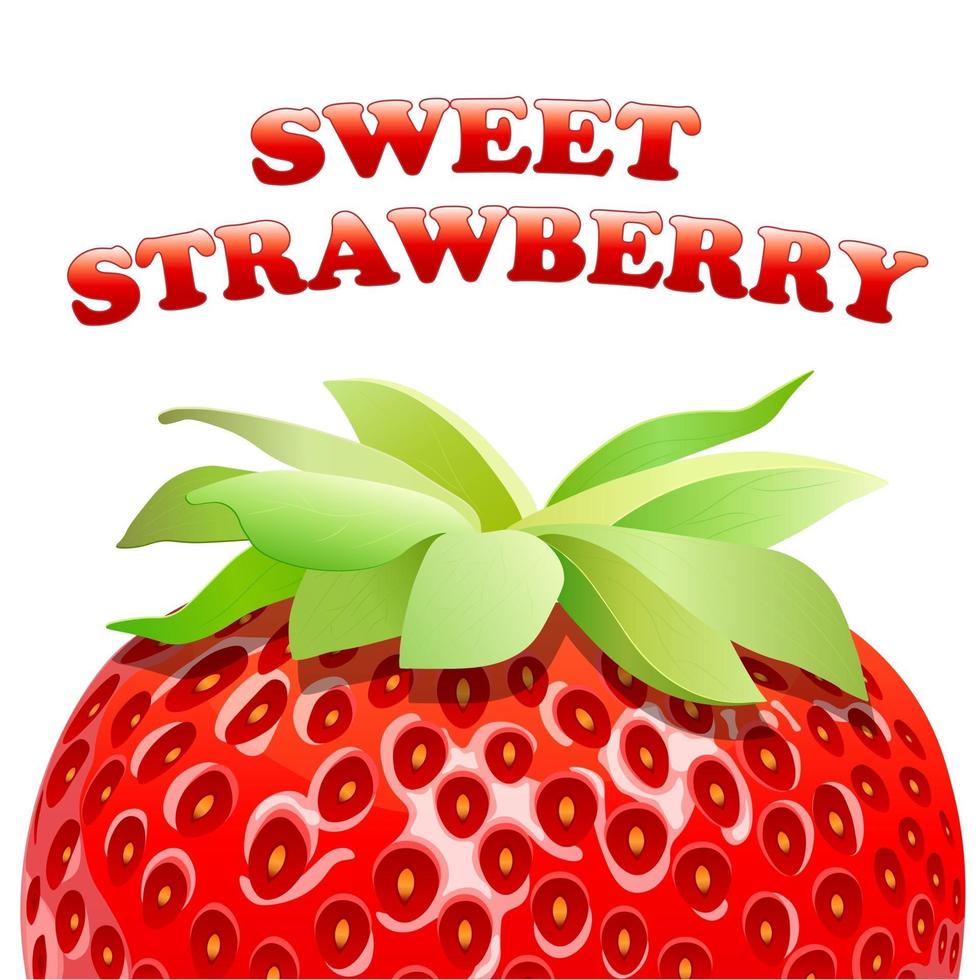 Strawberry sweet fruit illustration for web isolated on white background vector