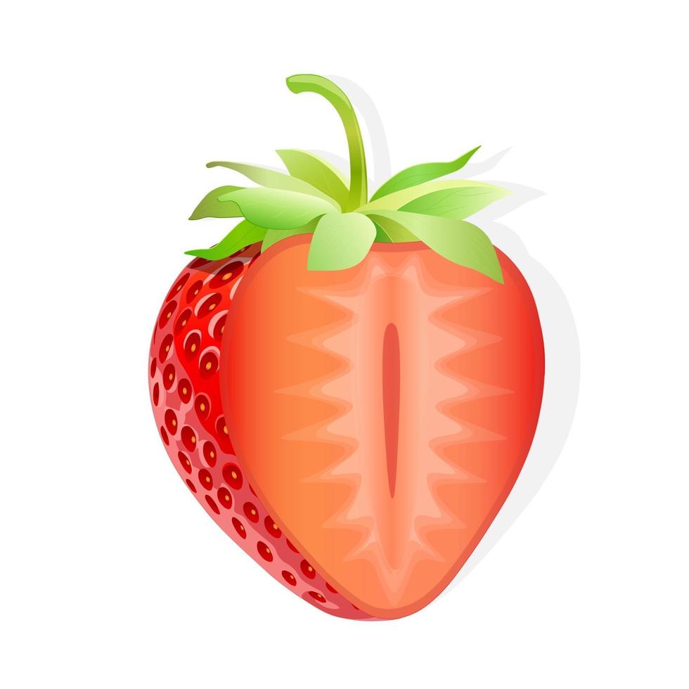 Slice of strawberry sweet fruit illustration for web isolated on white background vector