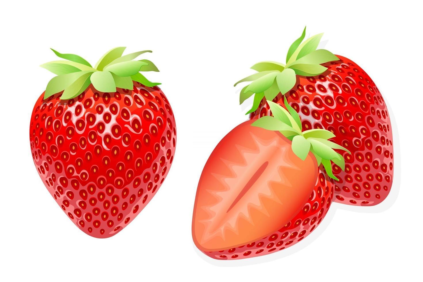 Ilustración de fruta dulce de fresa para web aislado sobre fondo blanco vector