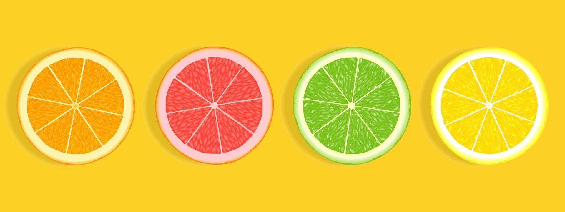 Rodajas de cítricos de pomelo naranja lima y limón aislado sobre fondo blanco. vector