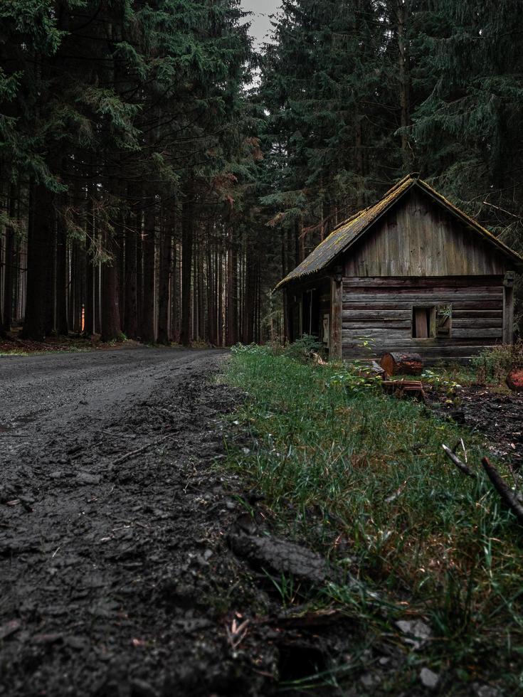 cabaña en el bosque foto