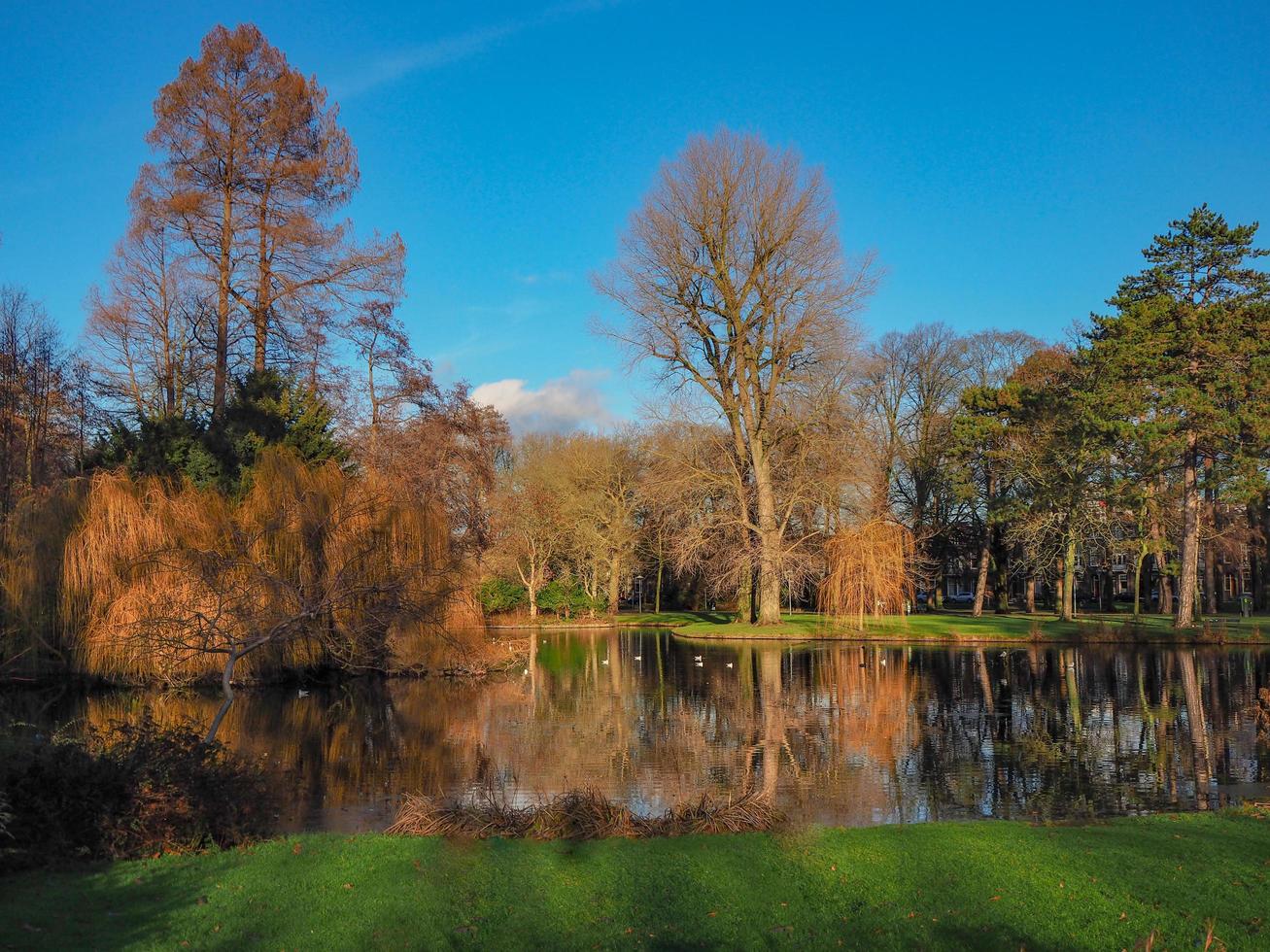 Reflexiones en un lago en Wilhelminapark Utrecht Holanda en un hermoso día de invierno foto