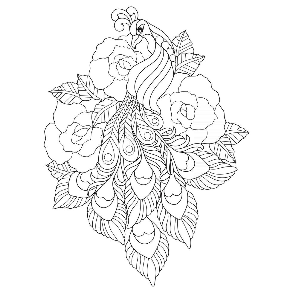 Peacock and rose flower Hand drawn sketch for adult colouring book vector