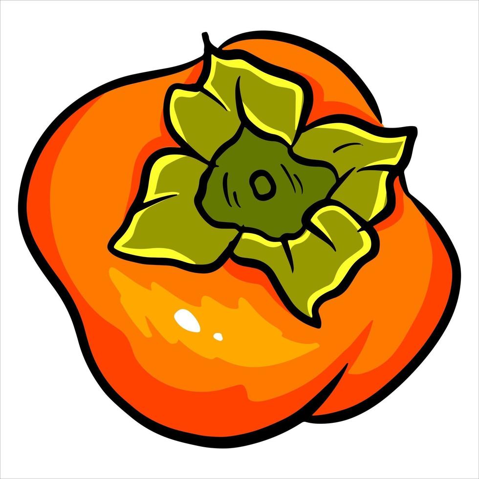 Juicy bright persimmon vector