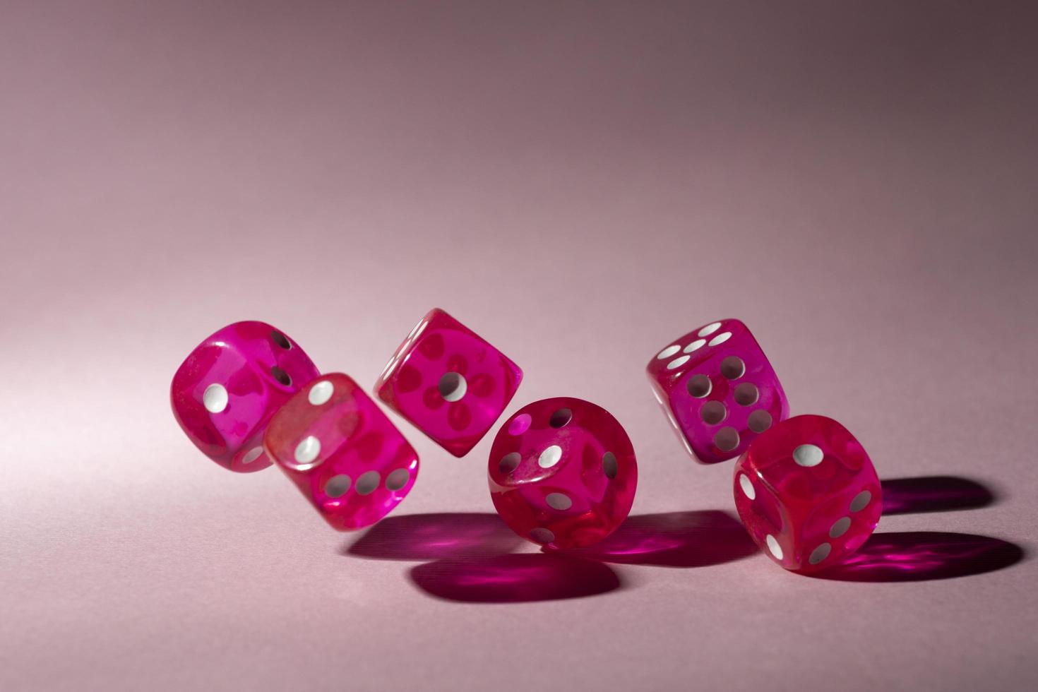 Pink dice on pink background photo