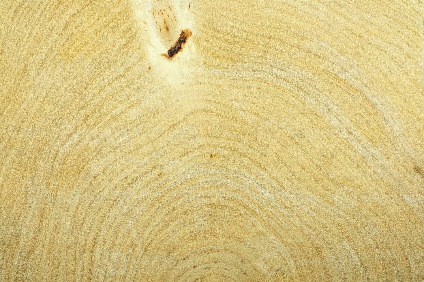 Annual ring tamarind wood for background texture photo