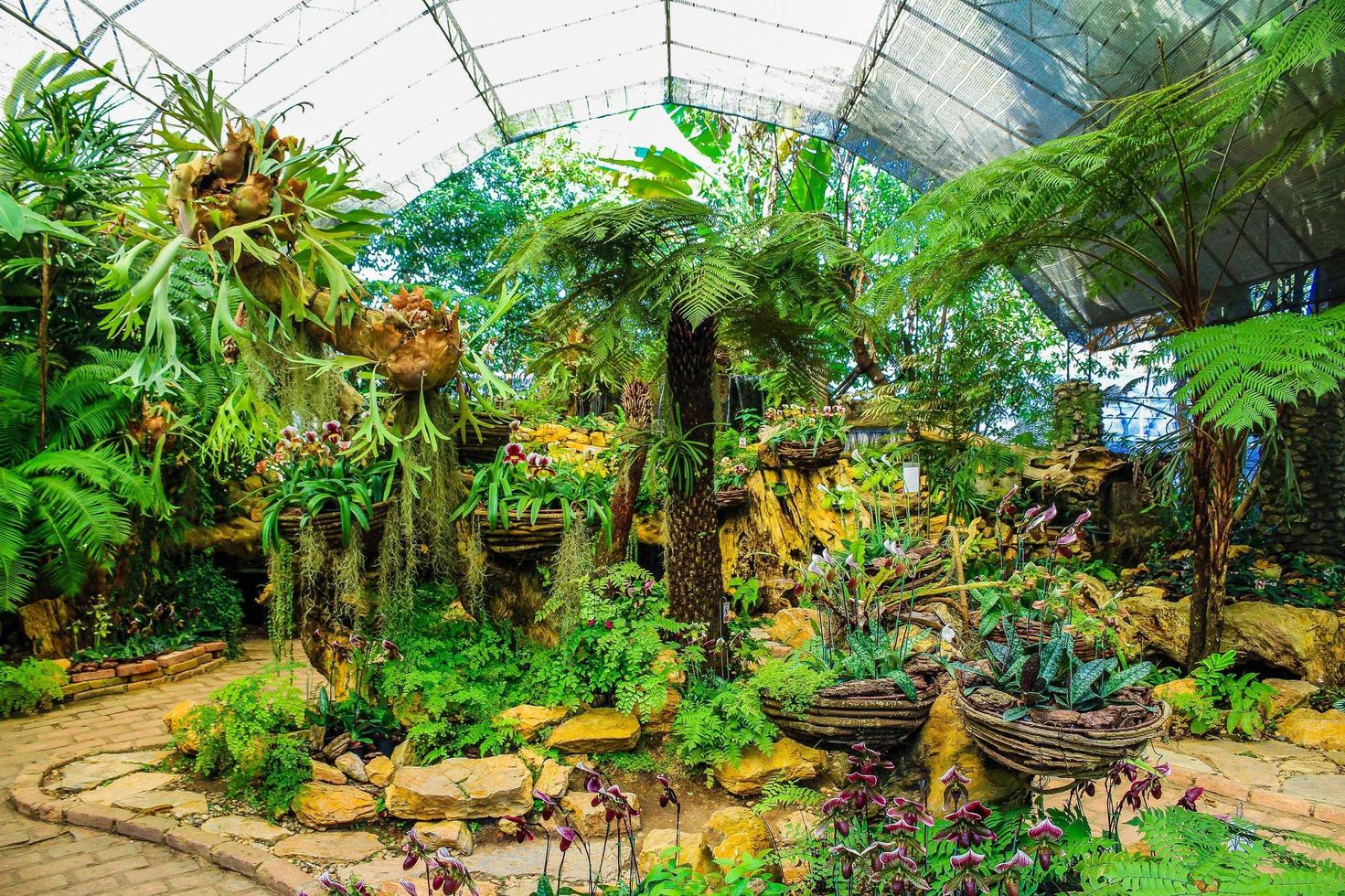 jardín botánico en doi tung, chiang rai, tailandia foto