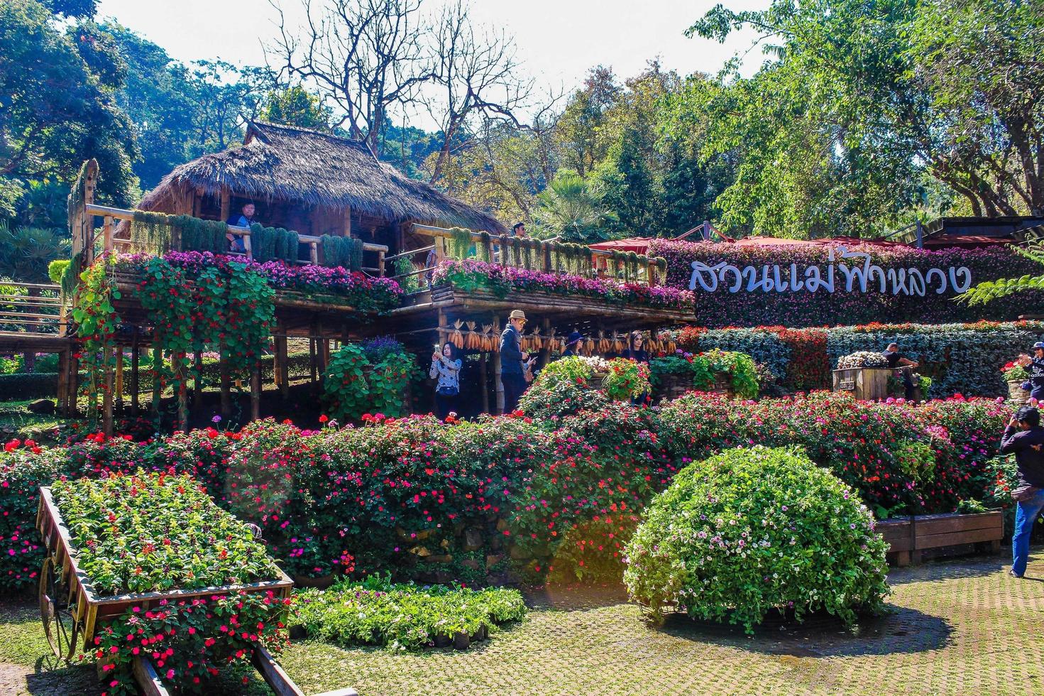 jardín botánico en doi tung, chiang rai, tailandia foto