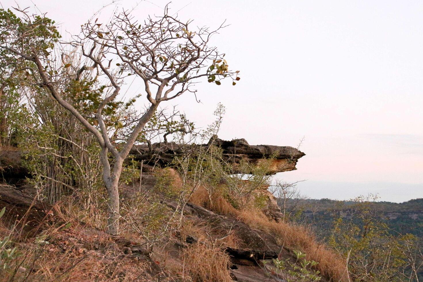 Parque Nacional Pha Taem en Ubonratchathani, Tailandia foto