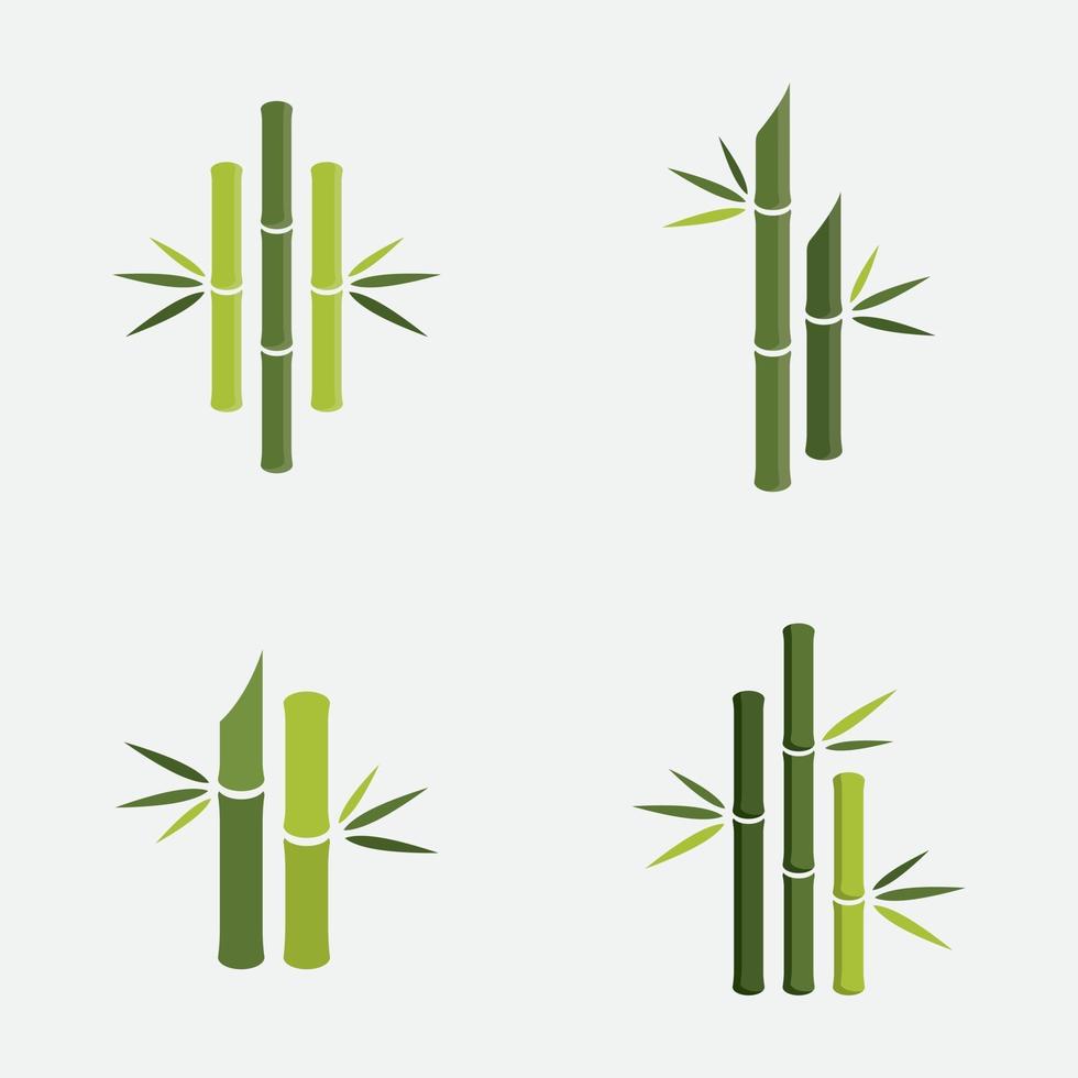 Bamboo vector illustration Design
