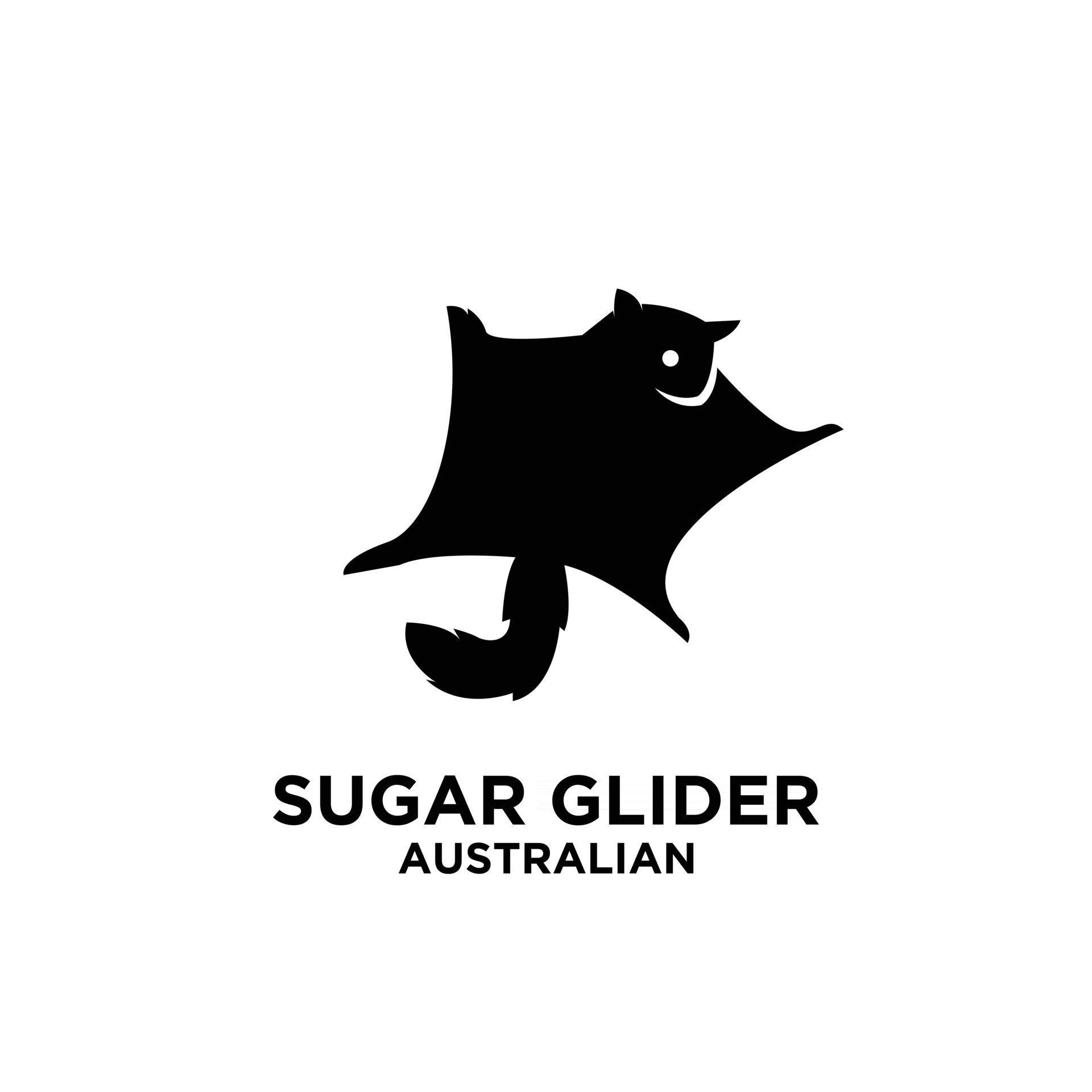 This Sugar Glider'S Journey Is Wild! - 9f1vcga