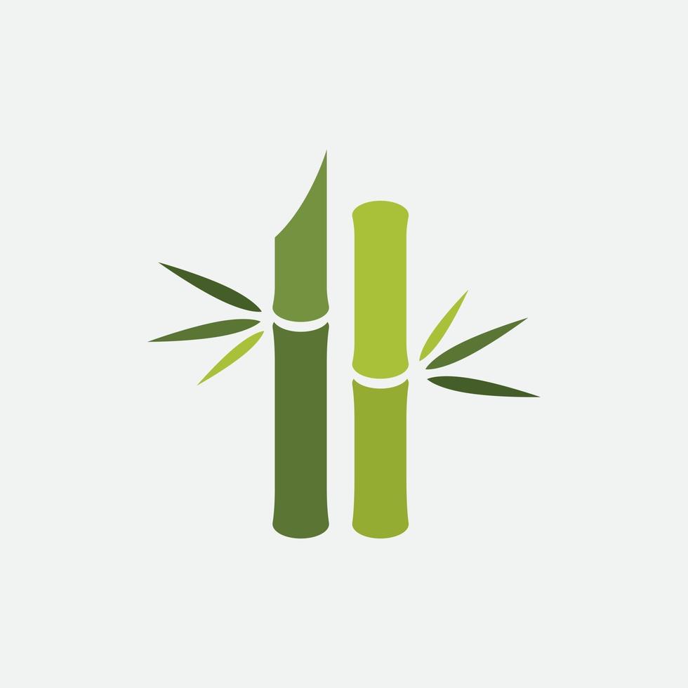 Bamboo vector illustration Design