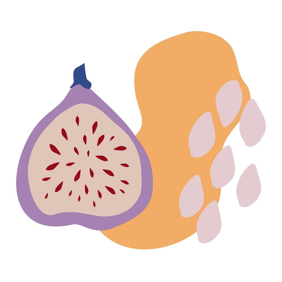 composición vectorial con higos y abstracción. fruta linda para la impresión de camisetas, carteles, logotipos, postales, etiquetas o tarjetas. vector