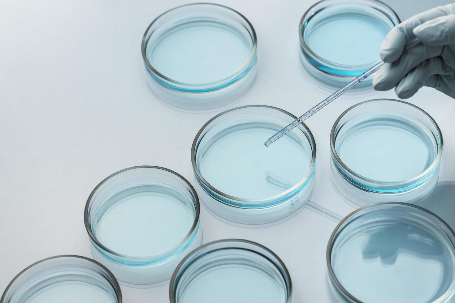 Placas de Petri en laboratorio médico con gotero foto