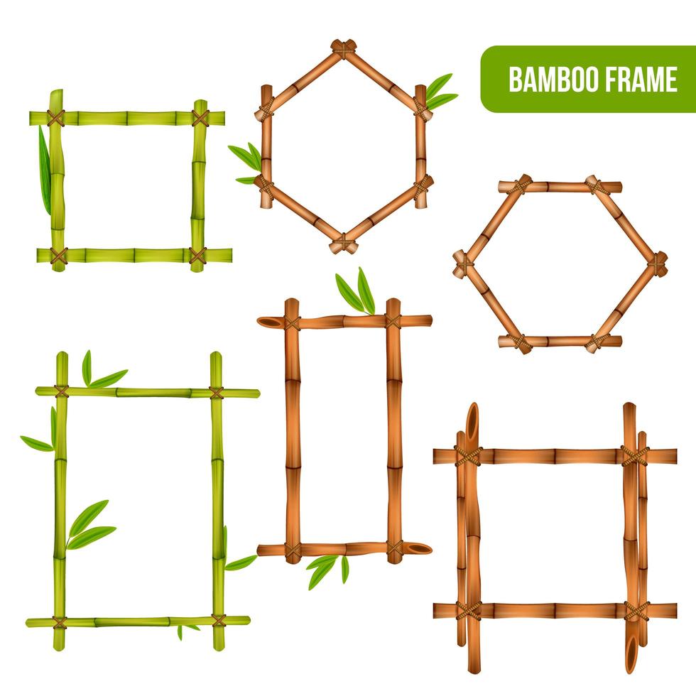 marcos de bambú conjunto realista ilustración vectorial vector