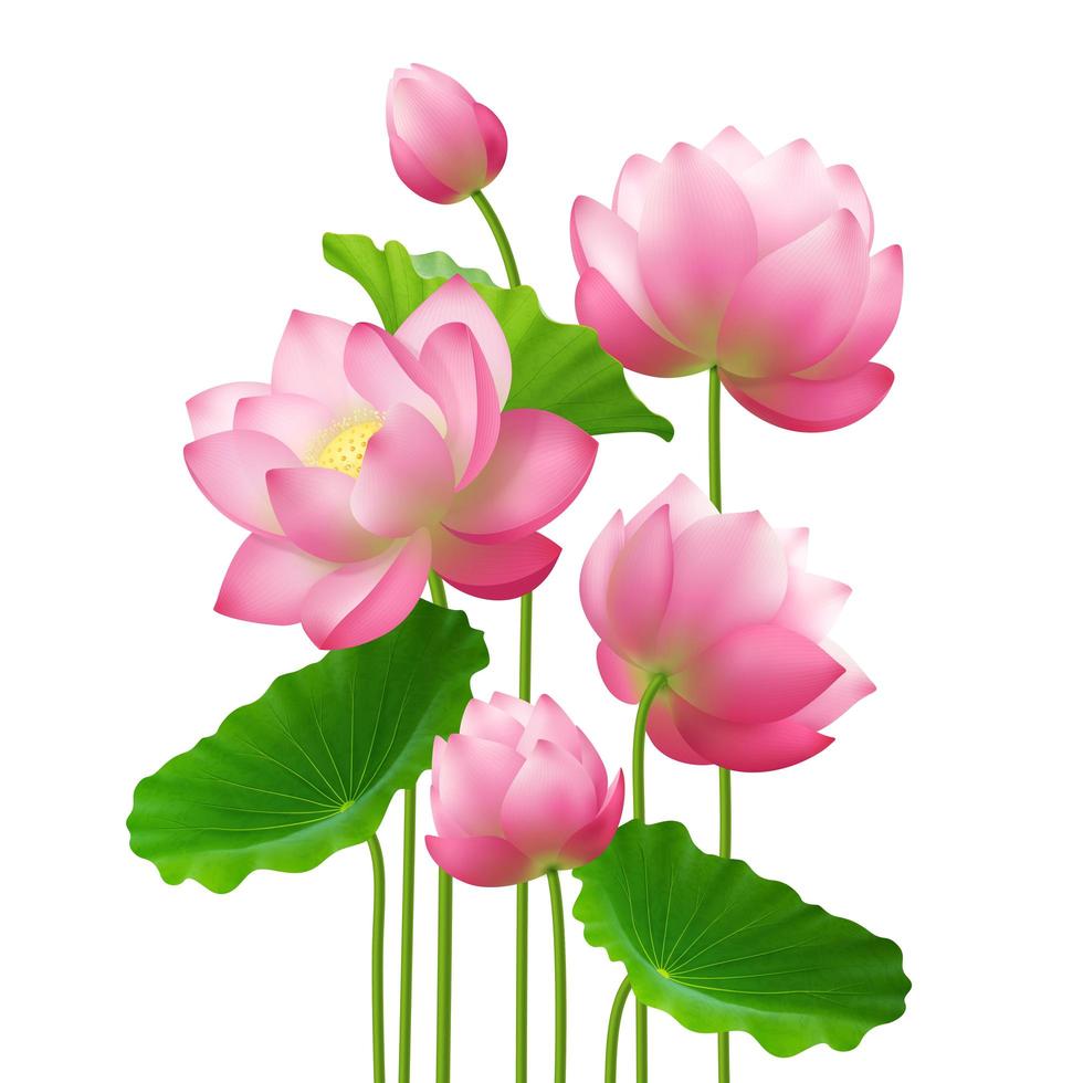 Realistic Bunch Lotus Flowers Vector Illustration