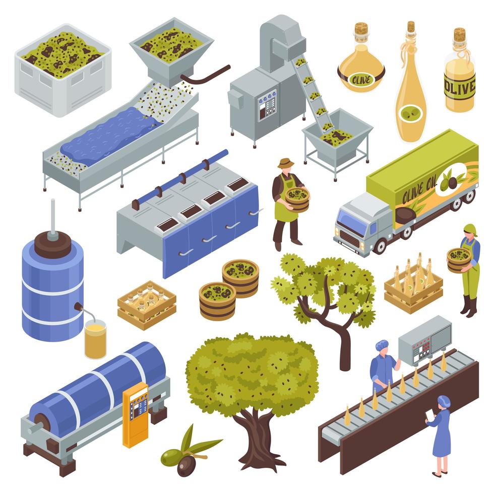 Olive Production Set Vector Illustration