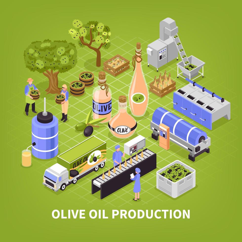 Ilustración de vector de cartel de producción de aceite de oliva