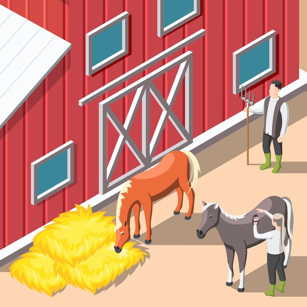 Ilustración de vector de fondo isométrico de cría de caballos