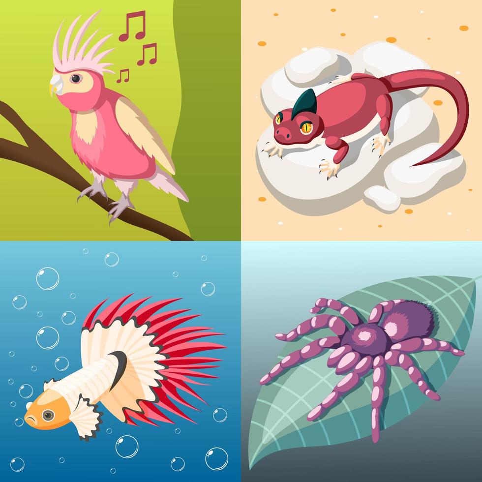 Exotic Pets 2x2 Design Concept Vector Illustration