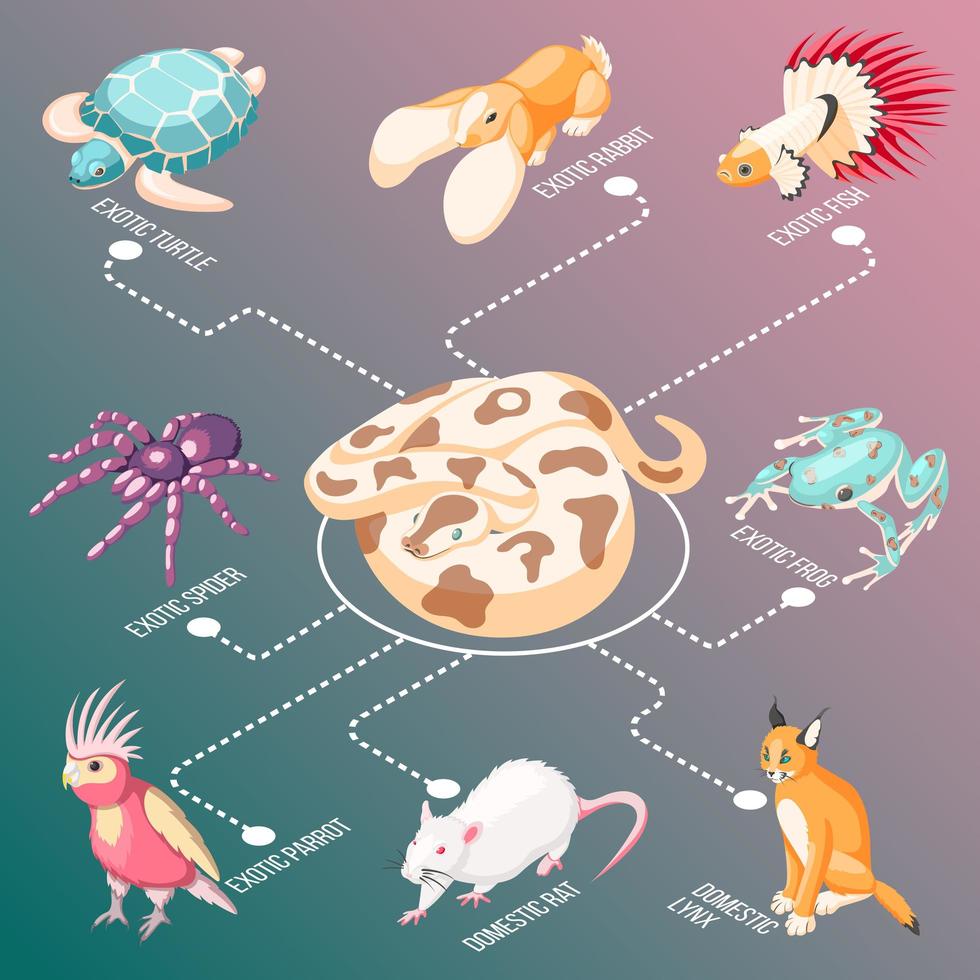 Exotic Pets Isometric Flowchart Vector Illustration