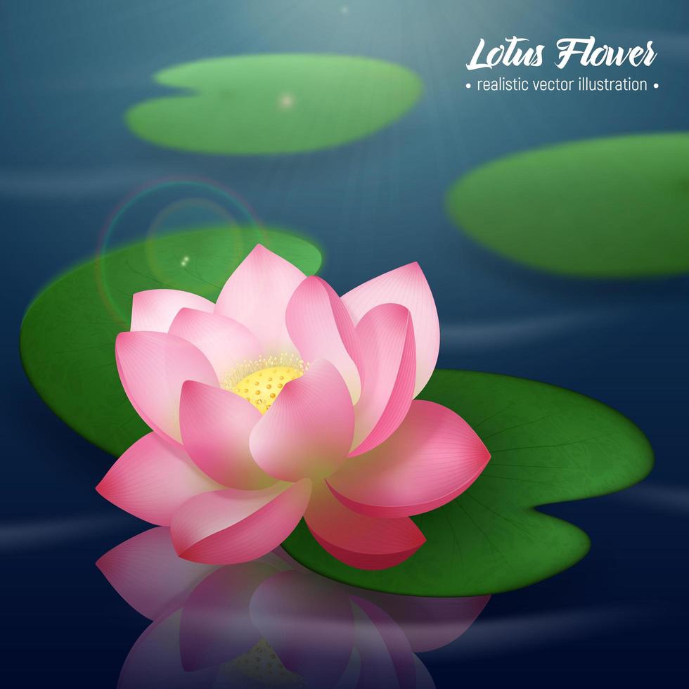 Lotus Flower Realistic Background Vector Illustration