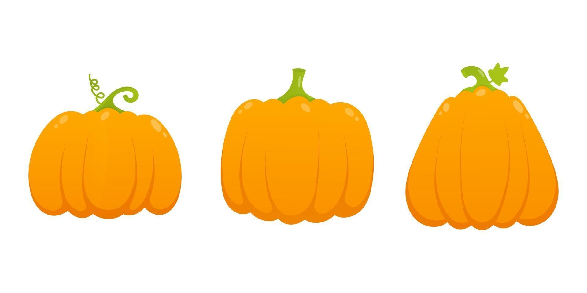 3 orange pumpkins set with leaf and gradient colors flat style design vector illustration