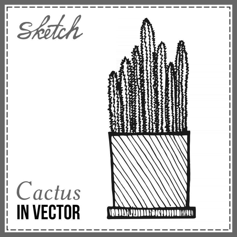 cactus aislado en un fondo blanco vector