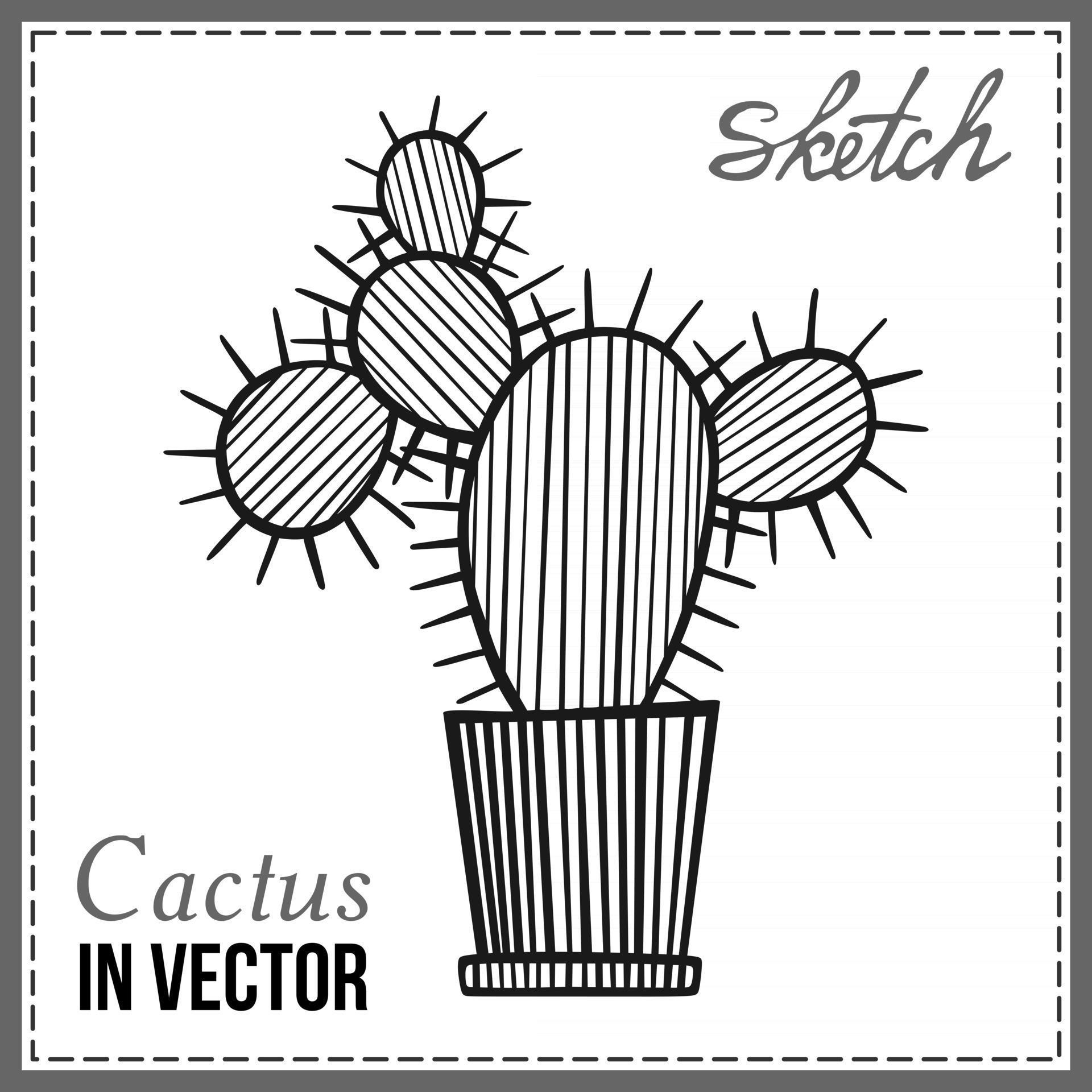 CACTUS ISOLATED ON A WHITE BACKGROUND 2417260 Vector Art at Vecteezy