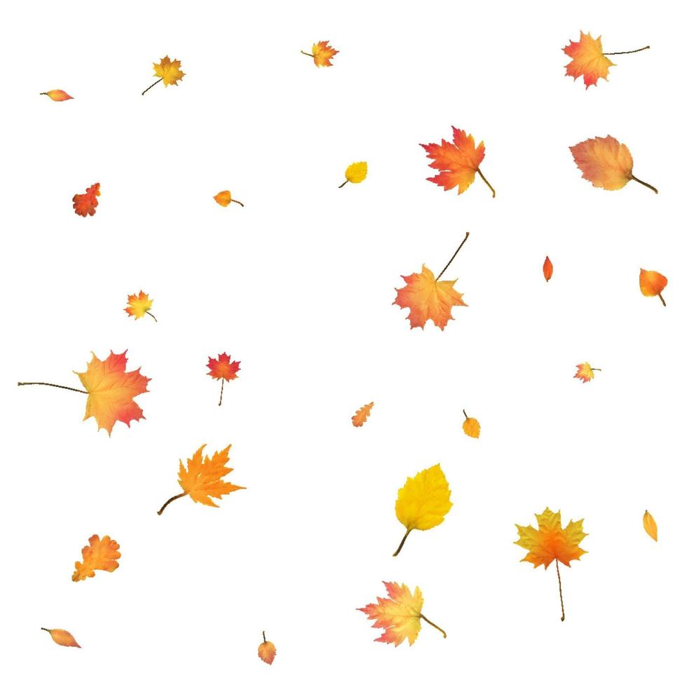 Autumn background with golden autumn  leaves Vector