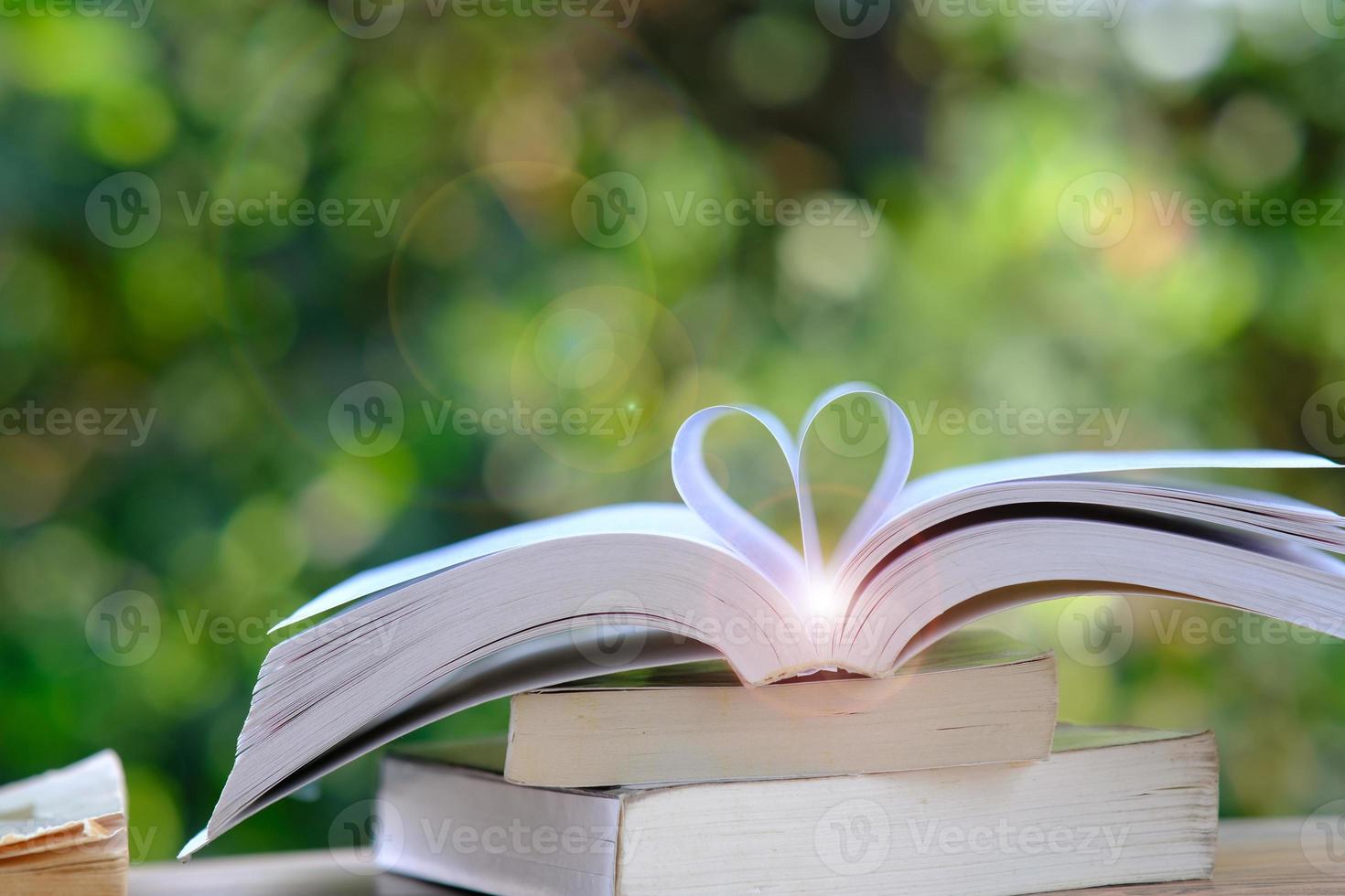 Book on green bokeh background and education learning concept photo