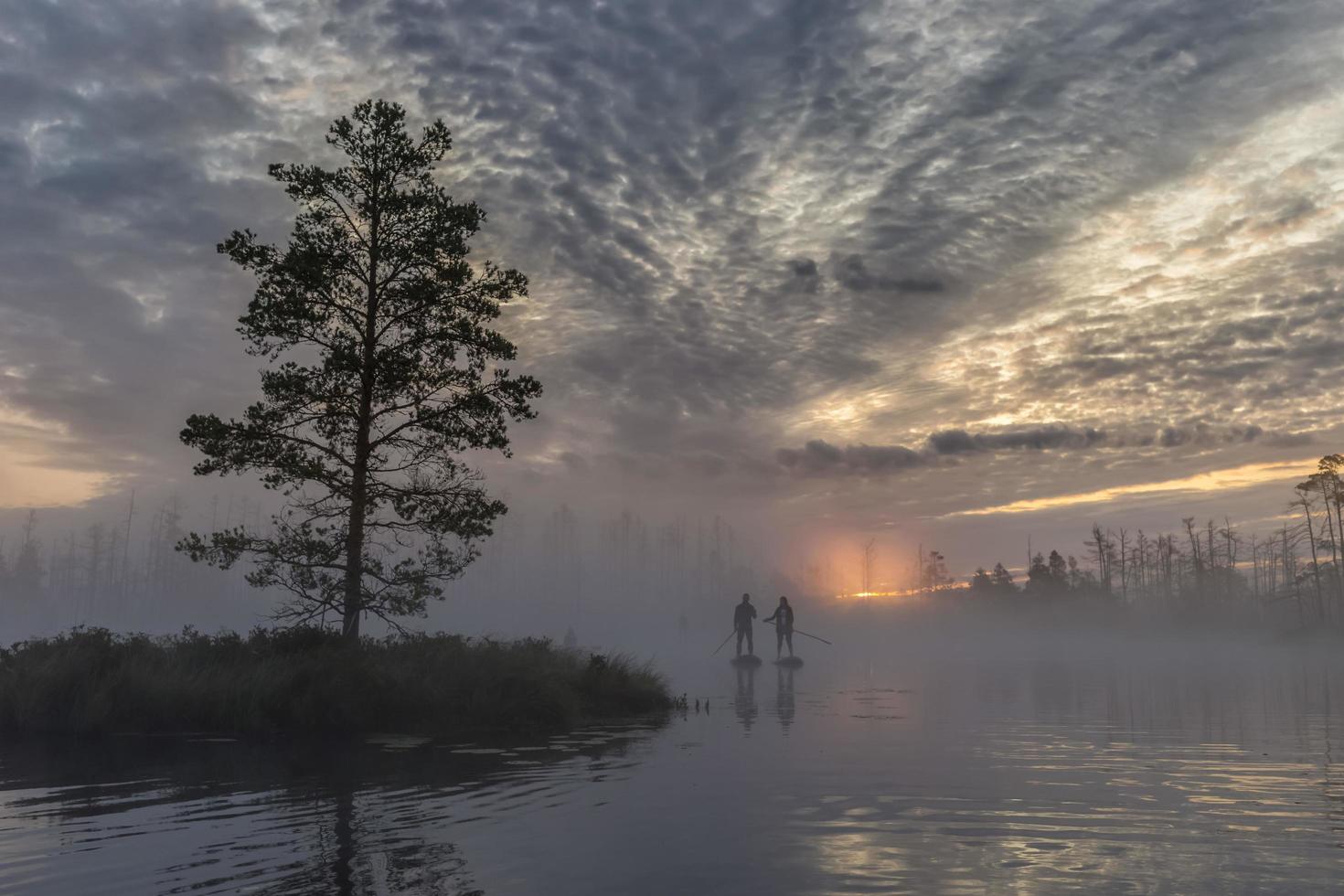 Sunrise at foggy swamp with small dead trees covered in early morning with people on sup boards photo