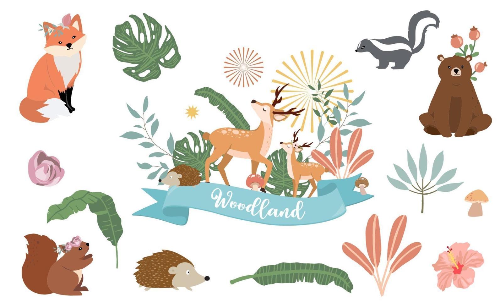 Cute woodland object collection with animal vector