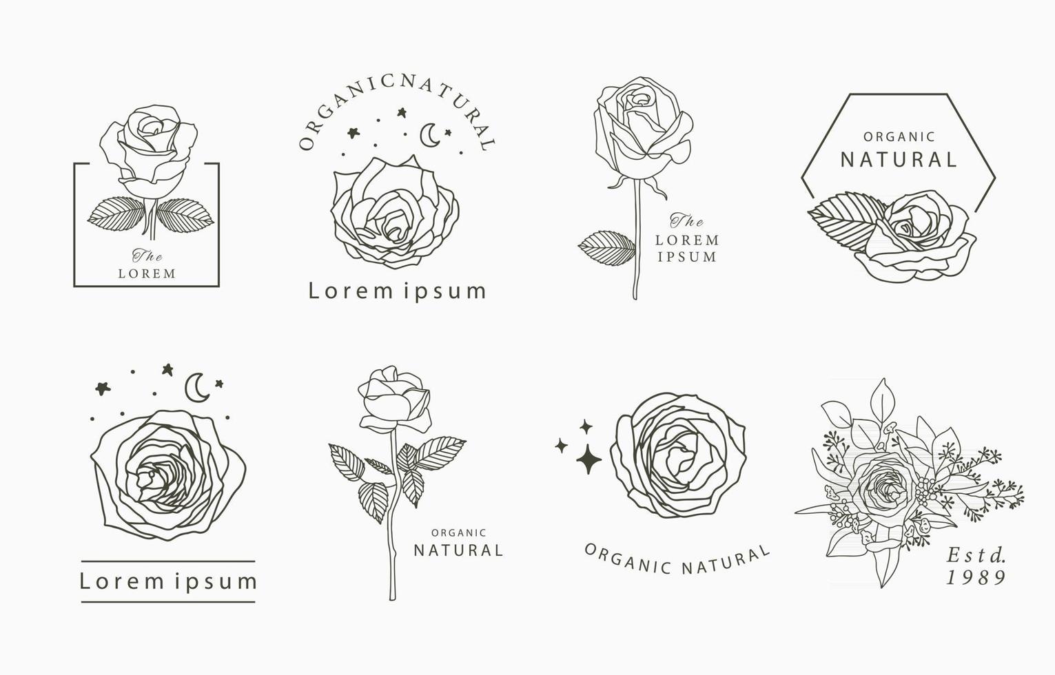 Beauty occult collection with flower vector