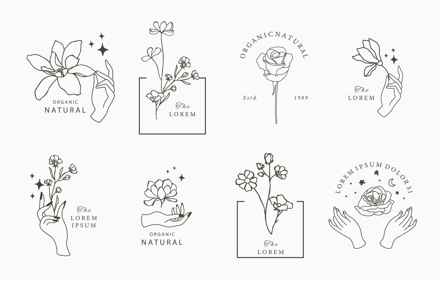 Beauty occult collection with flower vector